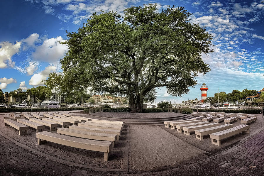 The Gregg Russell Liberty Oak Tree at Harbour Town Photograph by Steven