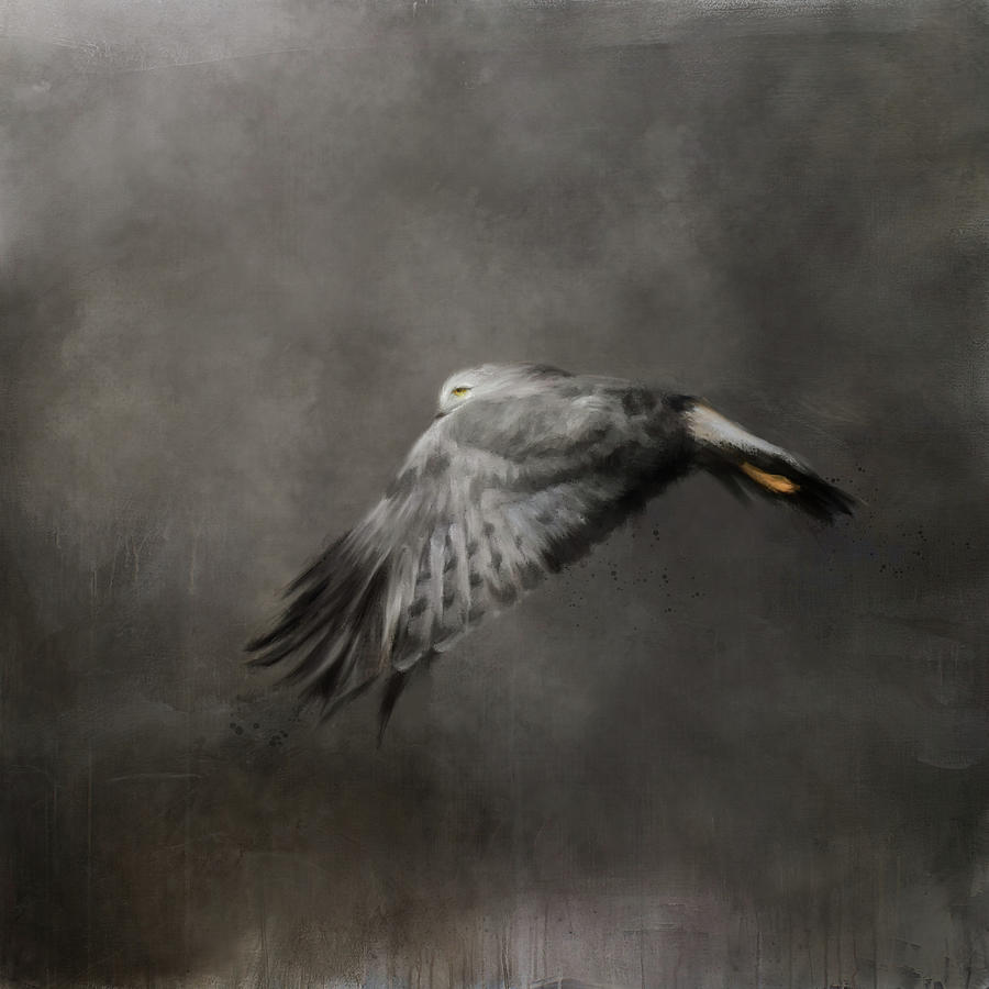 The Grey Ghost Painting by Jai Johnson