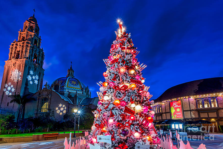 The Grinch Christmas Tree shines brightly at the Old Globe Copley Plaza in Balboa Park Photograph by Sam Antonio