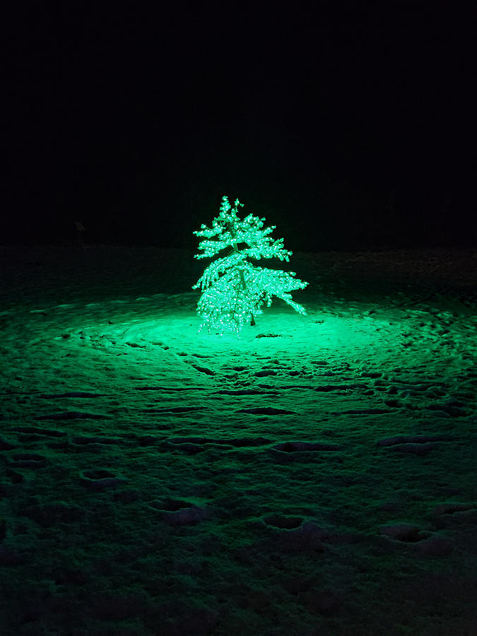 The Grinch Stole Christmas Digital Art by Micki Findlay
