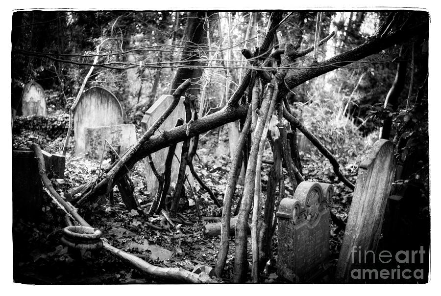 London Photograph - The Guardian Angles in Abney park cemetery In London by Cyril Jayant Photography. by Cyril Jayant