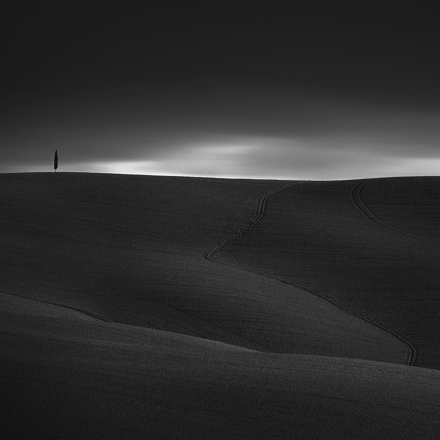 The Guardian of the Crete Photograph by Stefano Orazzini