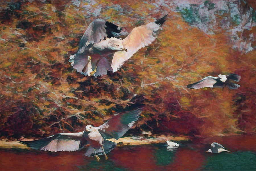 The Gulls Da Digital Art by Ernest Echols