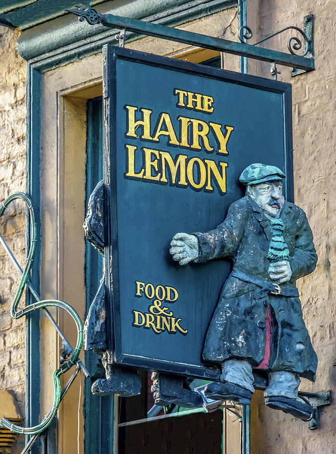 The Hairy Lemon, Dublin Photograph by Marcy Wielfaert