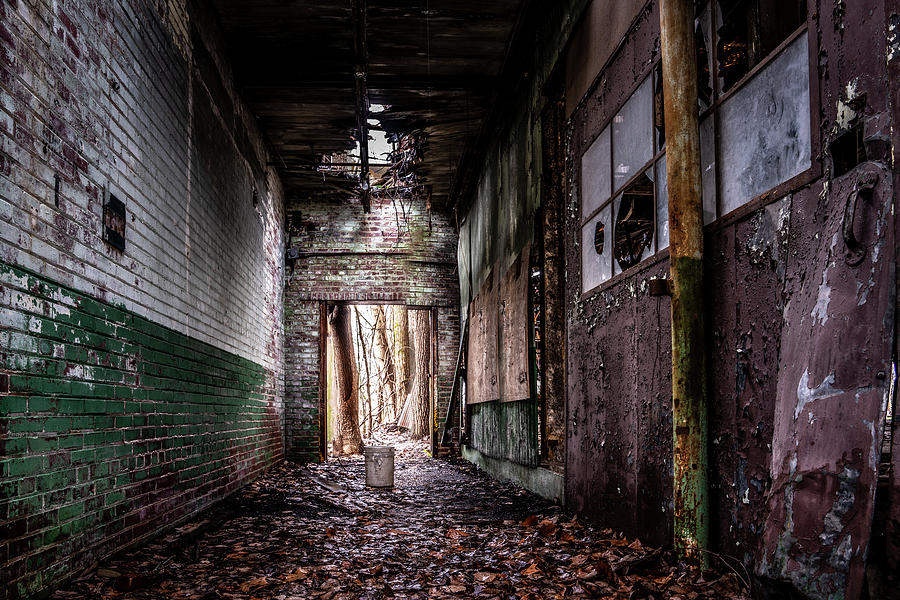 The Hallway Photograph by Darrell DeRosia