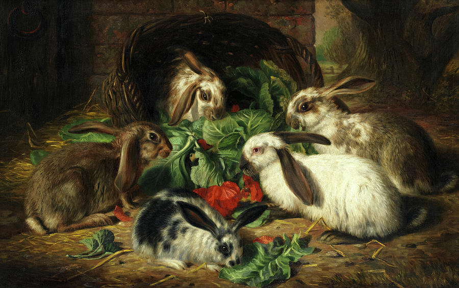 The Happy Family Of Rabbits 1893 Painting By Alfred Richardson Barber   The Happy Family Of Rabbits 1893 Alfred Richardson Barber 