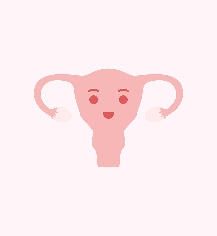 The Happy Female Reproductive System Digital Art by Deidre Blackman ...