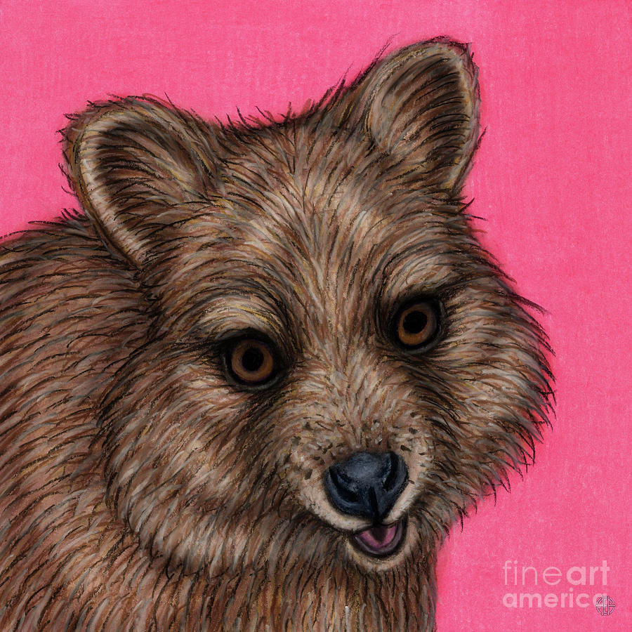 The Happy Quokka  Painting by Amy E Fraser