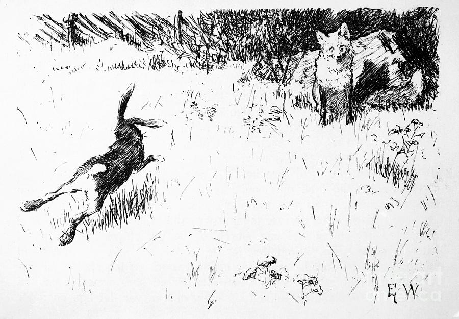 The hare that had been married Drawing by O Vaering by Erik Werenskiold
