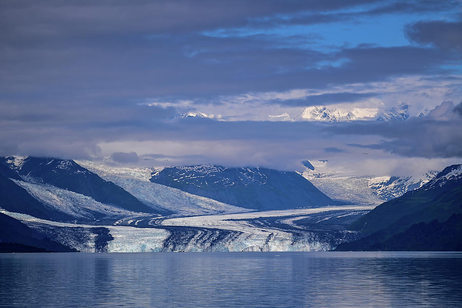 The Harvard Glacier -  College Fjord, Alaska Photograph by Amazing Action Photo Video