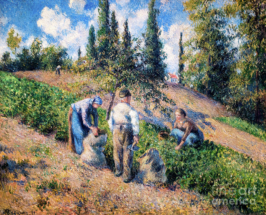 The Harvest Pontoise by Camille Pissarro 1881 Painting by Camille Pissarro