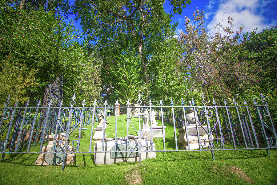 The Haunted Mansion Pet Cemetery Photograph by Mark Andrew Thomas