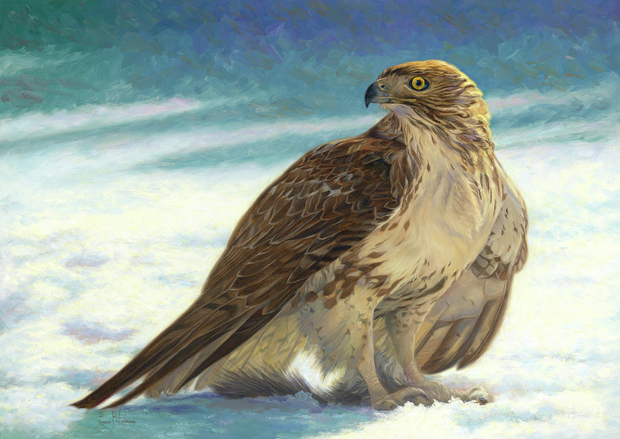 Hawk Painting - The Hawk by Lucie Bilodeau