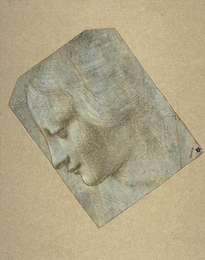 The Head of a Woman in Profile Facing Left Drawing by Giovanni Antonio Boltraffio