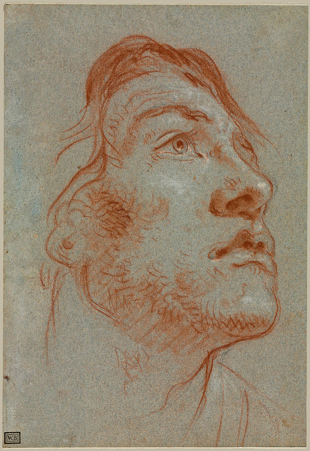 Giovanni Battista Tiepolo Drawing - The Head of a Young Man Looking Upwards to the Right by Giovanni Battista Tiepolo