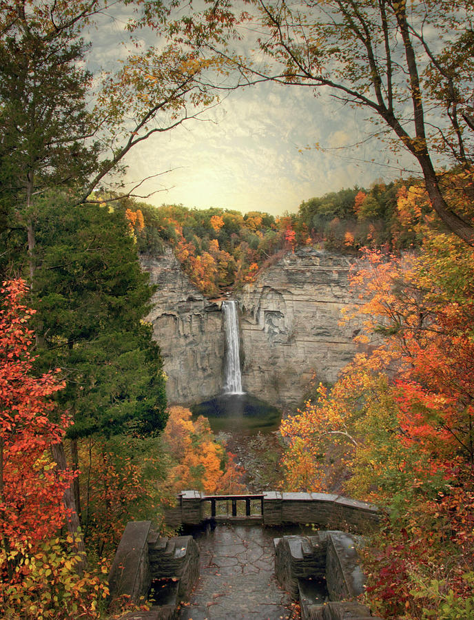 Nature Photograph - The Heart of Taughannock by Jessica Jenney