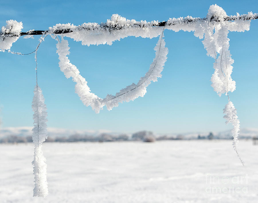 The Heart Of Winter Photograph