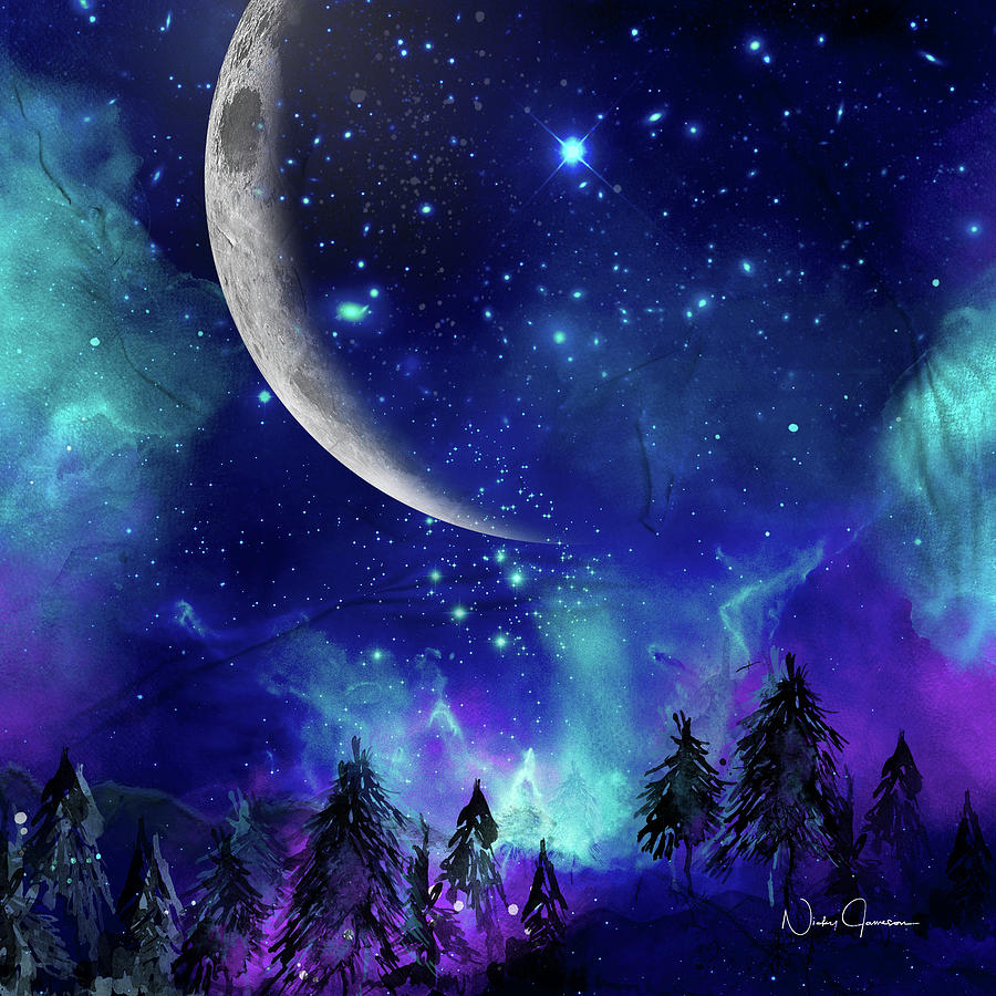 The Heavens - Moon Cycle Digital Art by Nicky Jameson