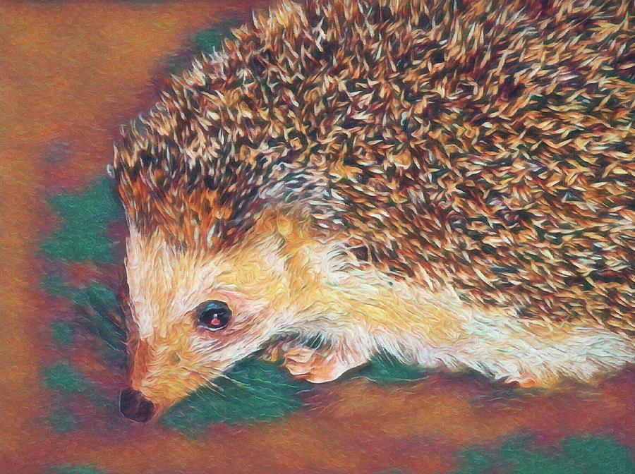 The Hedgehog Digital Art 2 Digital Art by Ernest Echols