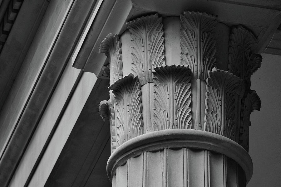 The Hermitage Columns in Black and White Photograph by Nadalyn Larsen