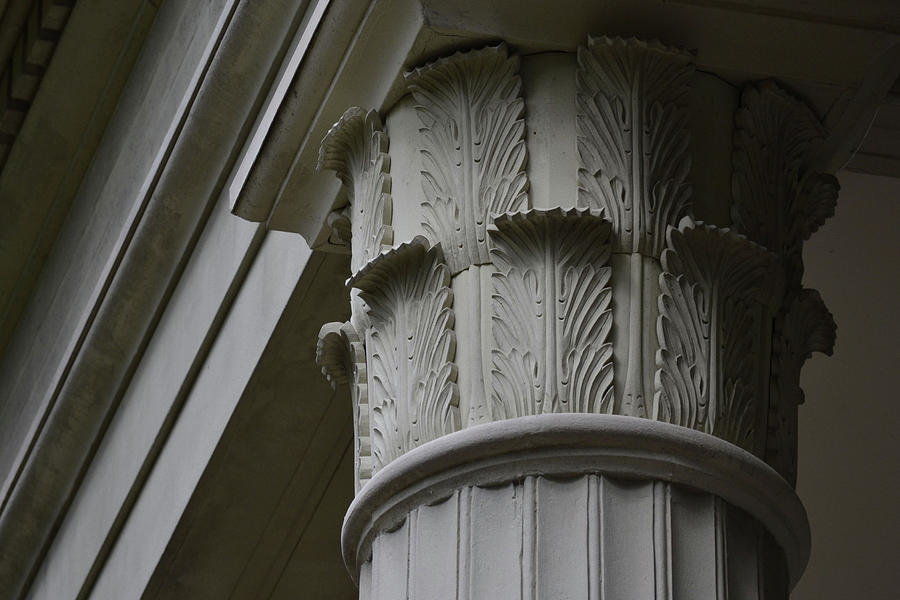 The Hermitage Columns Photograph