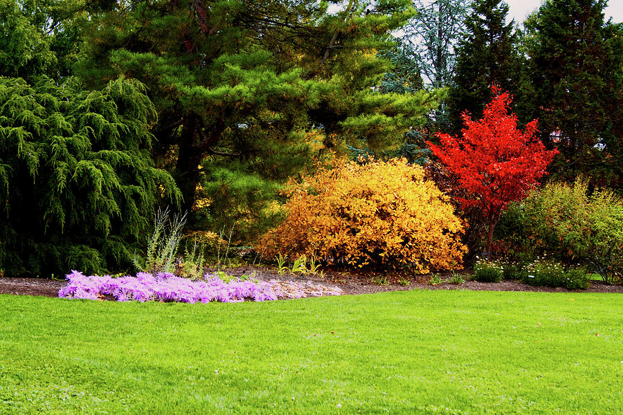 The Hidden Garden Photograph by Mike Smale The Hidden Garden Photograph by Mike Smale