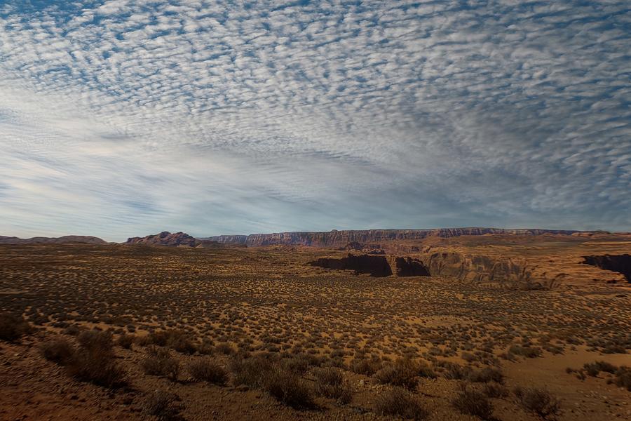 The High Desert of Northern Arizona Photograph by Laura Putman