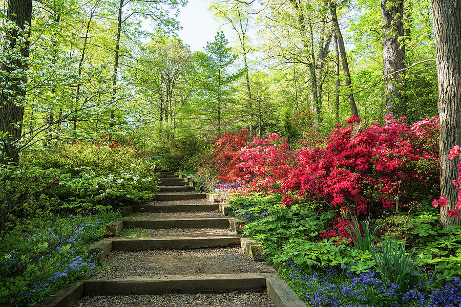 The Higher View Photograph by Carrie Goeringer - Fine Art America