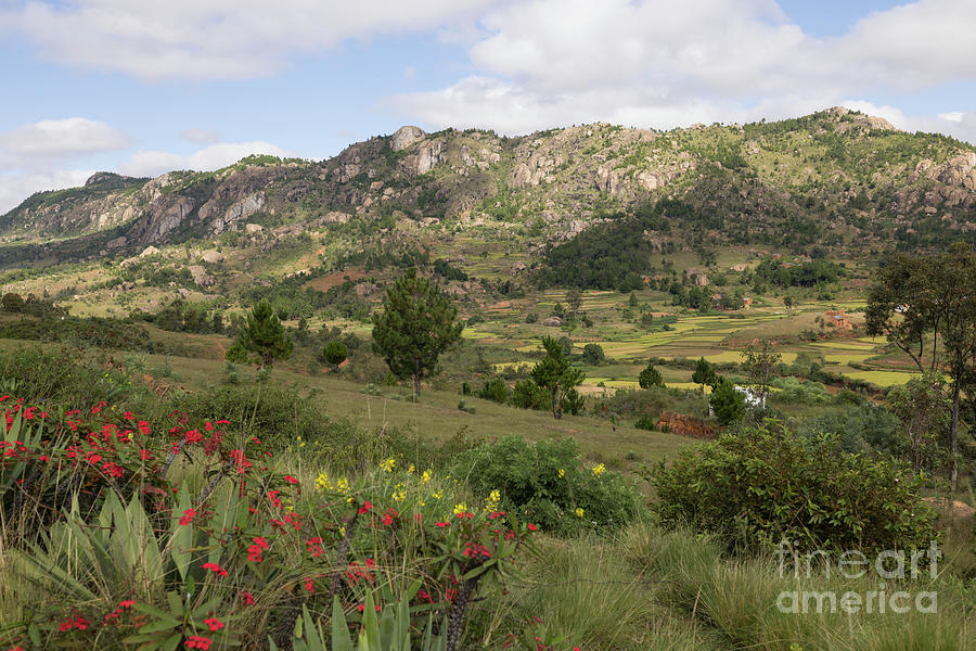 The Highlands in Central Madagascar Photograph by Eva Lechner