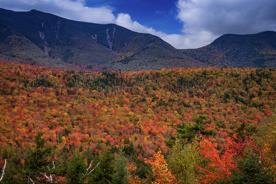 The Hills Above The Kancamagus In Autumn Colors Photograph