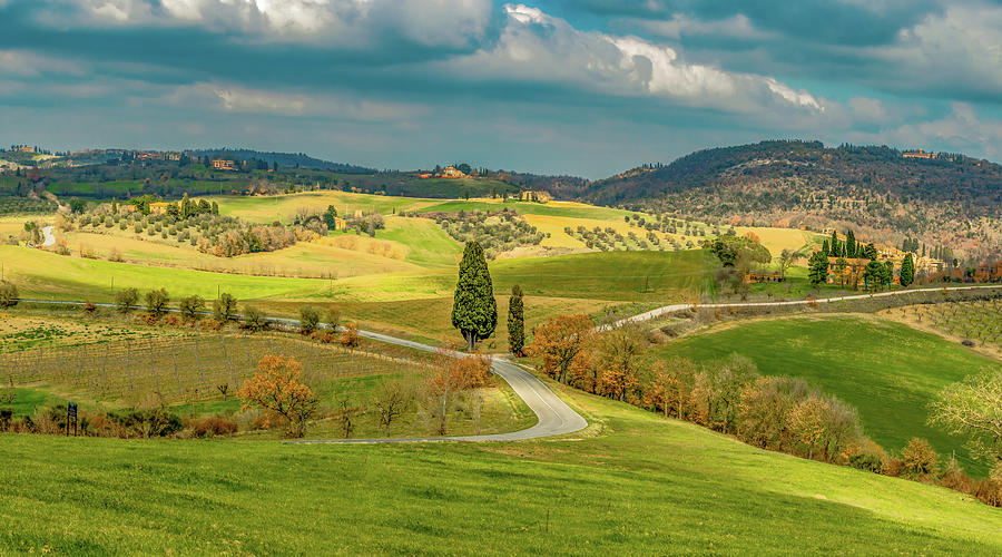 The Hills Are Alive In Tuscany Photograph by Marcy Wielfaert