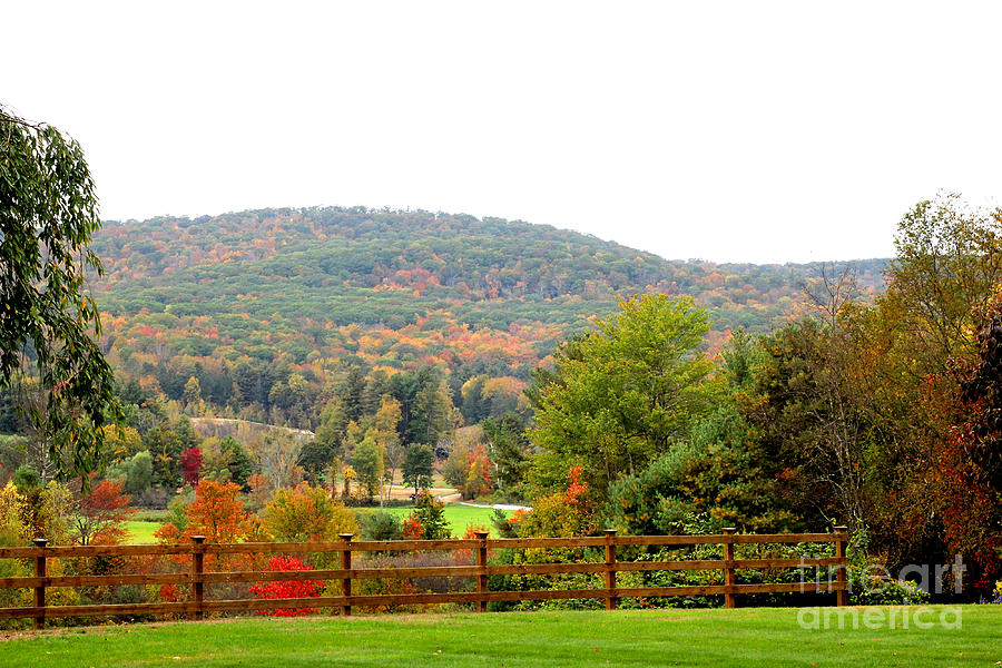 The Hillside Giddy With Color Photograph by Frances Ferland