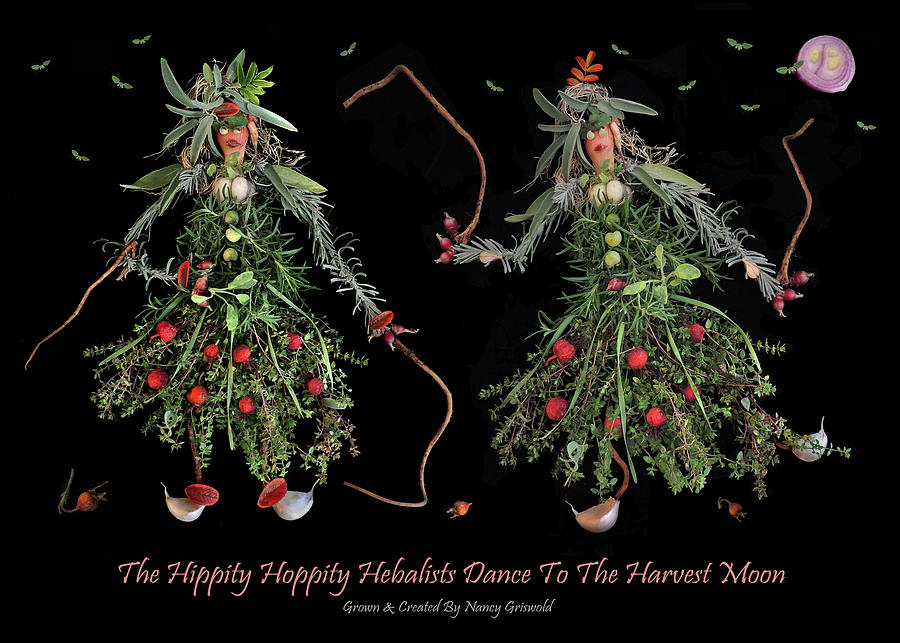 The Hippity Hoppity Herbalists Dance To The Harvest Moon Photograph by Nancy Griswold
