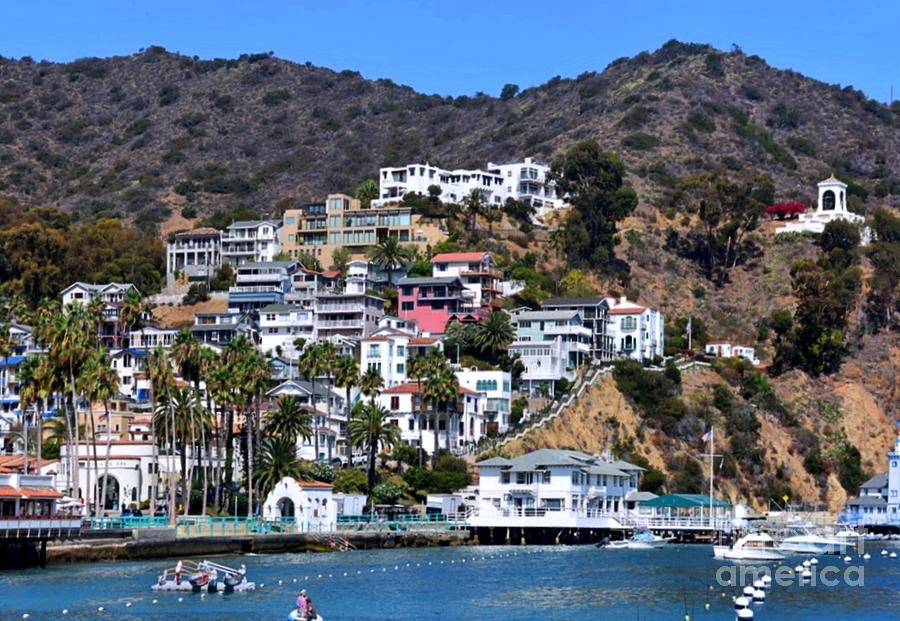 The Homes of Catalina Island Photograph by Dyanne Klinko Pixels