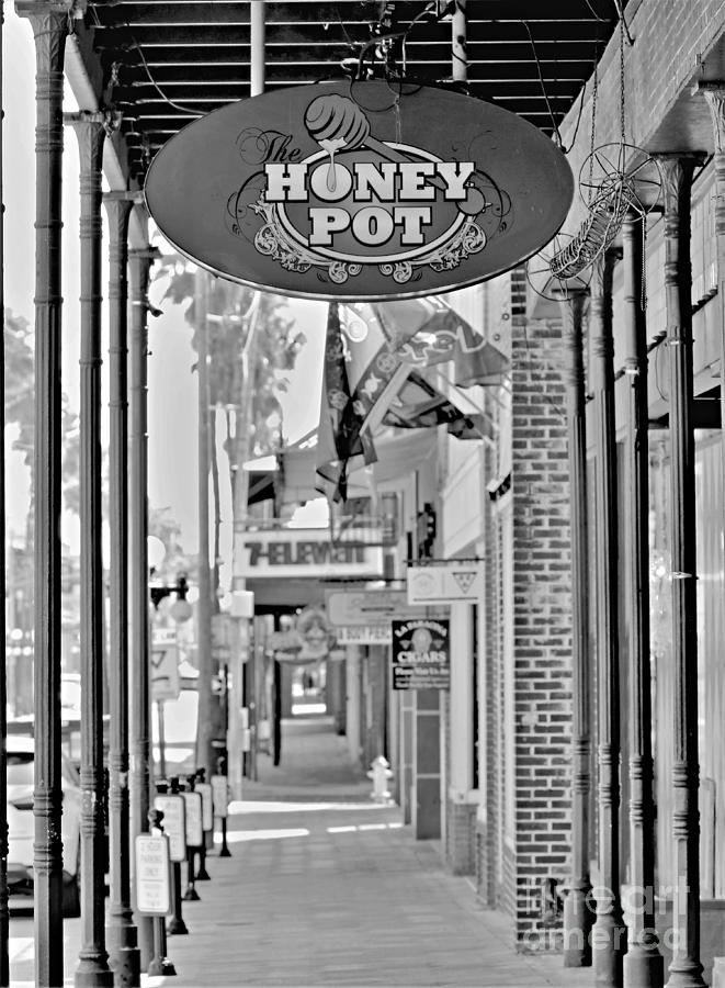 The Honey Pot Photograph