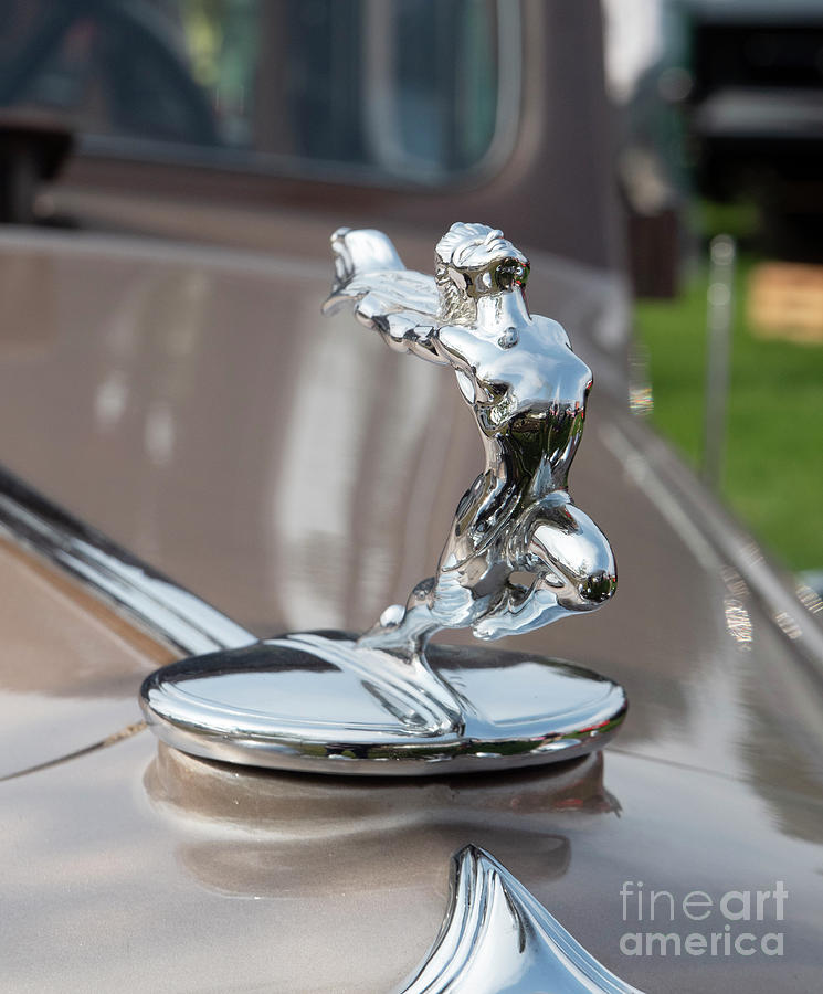 The Hood Ornament Photograph by Carolyn Fox | Fine Art America