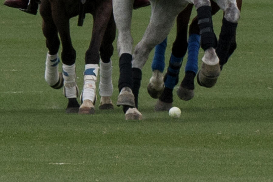 The Hooves of Polo Photograph by Bonnie Colgan
