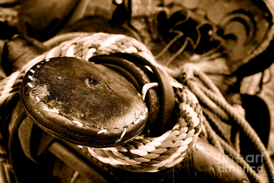 The Horn - Sepia Photograph by American West Legend The Horn - Sepia Photograph by American West Legend