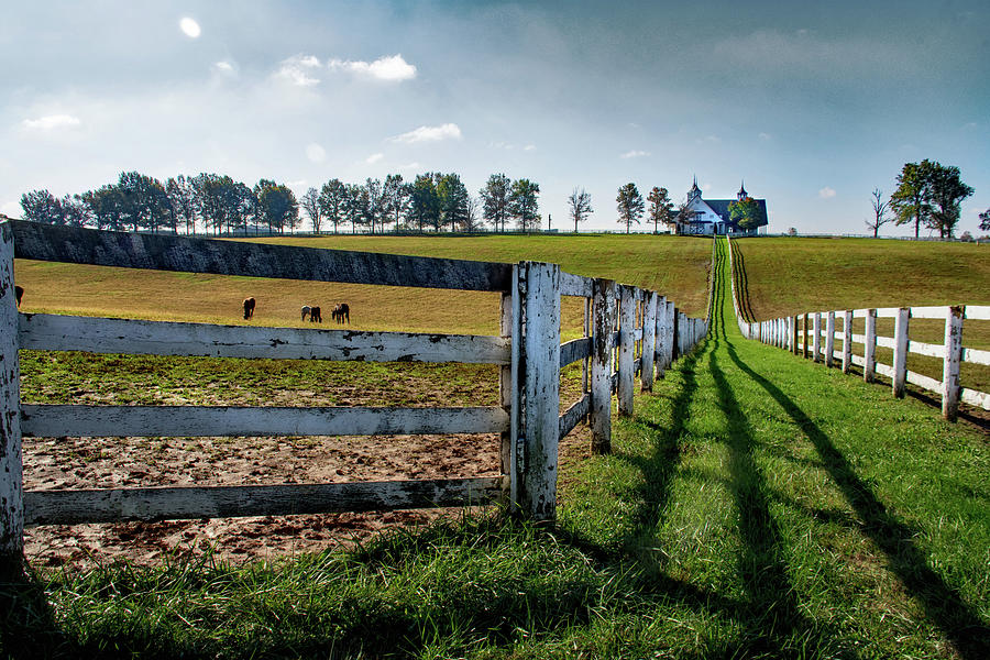 The Horse Fence Row Photograph by Jolynn Reed