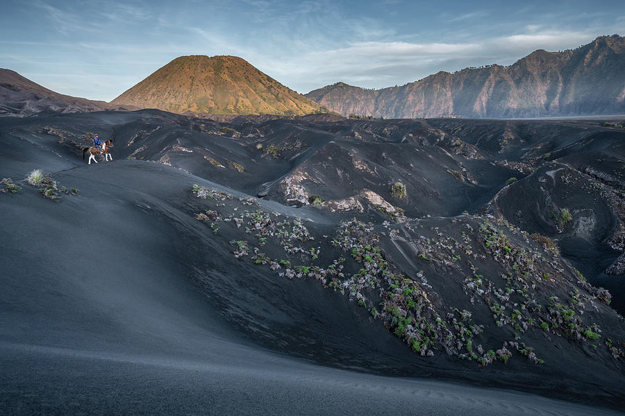 The horse rider of Mt Bromo Photograph by Anges Van der Logt