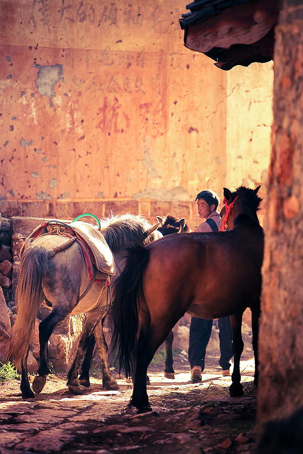 The Horseman Photograph by Mark Gomez