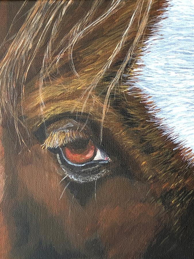 The horses eye Painting by Hollis Madara - Fine Art America