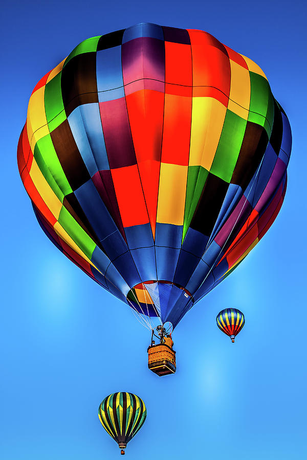The Hot Air Balloons Photograph by David Patterson