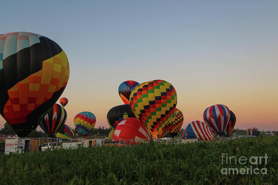 The Hounds, 10th Annual Lancaster Balloon Festival Photograph by Dwayne