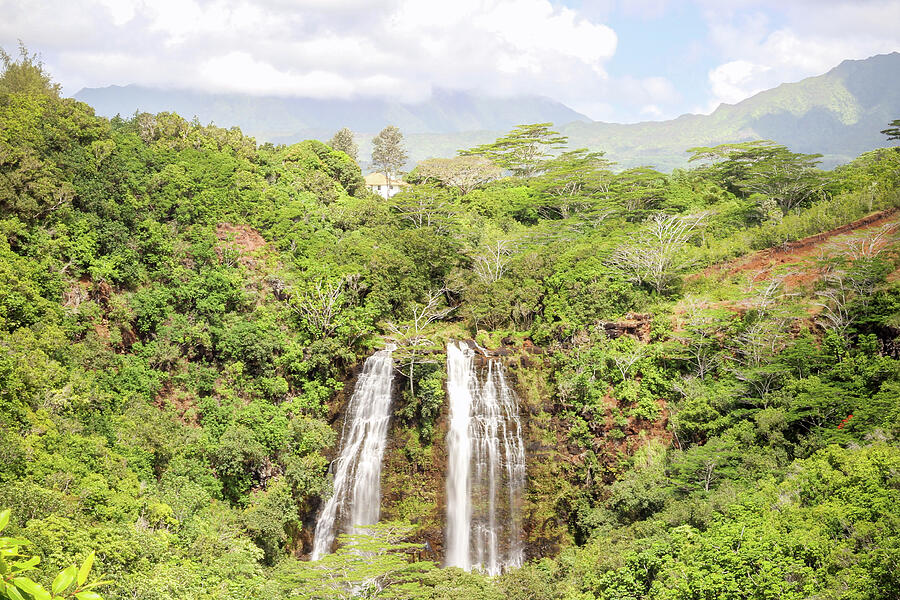 The House Above Opaekaa Falls Photograph by Robert Carter The House Above Opaekaa Falls Photograph by Robert Carter