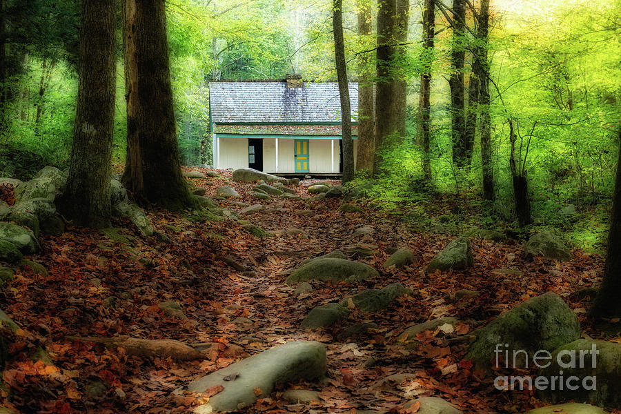 The House in the Woods Photograph by Nicki McManus