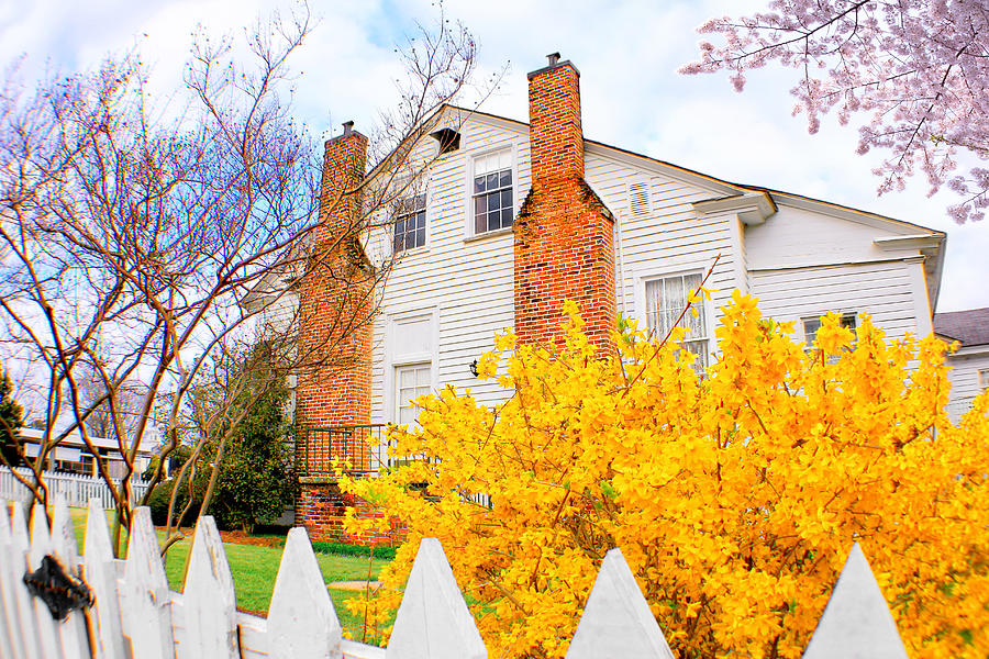 Spring Photograph - The House With Chimneys by Iryna Goodall