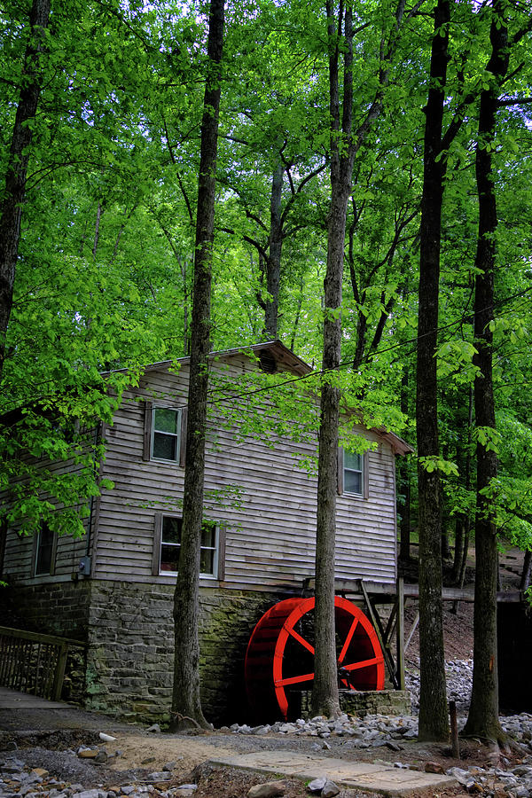 The House with the Wheel Photograph by George Taylor