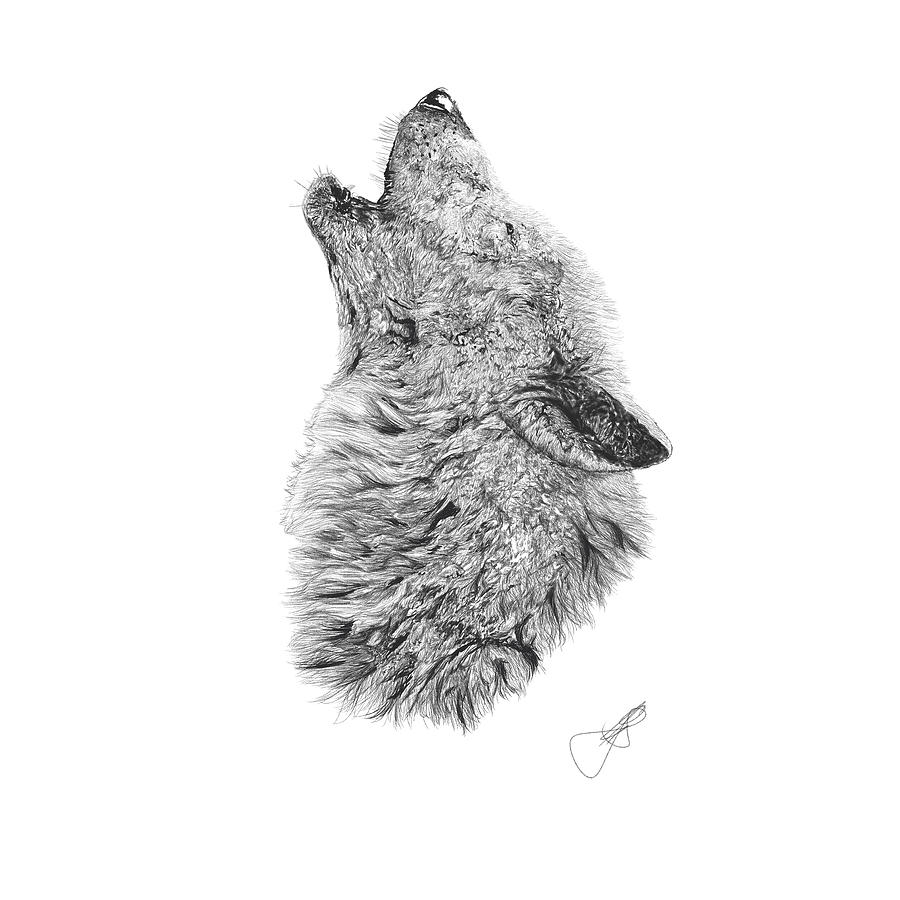 The Howl Drawing by CJ Swanepoel - Fine Art America