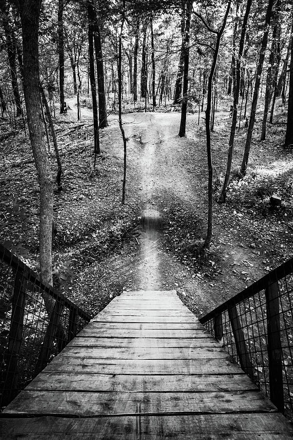 Black And White Photograph - The Hub Bike Ramp To Black Diamond Trails In BW - Northwest Arkansas Coler Mountain by Gregory Ballos